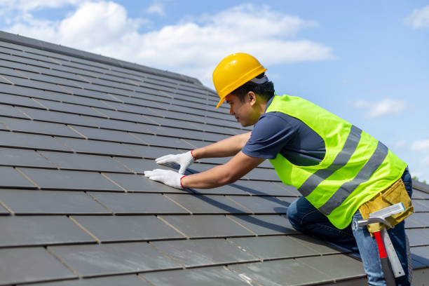 Roof Gutter Cleaning in Du Quoin, IL