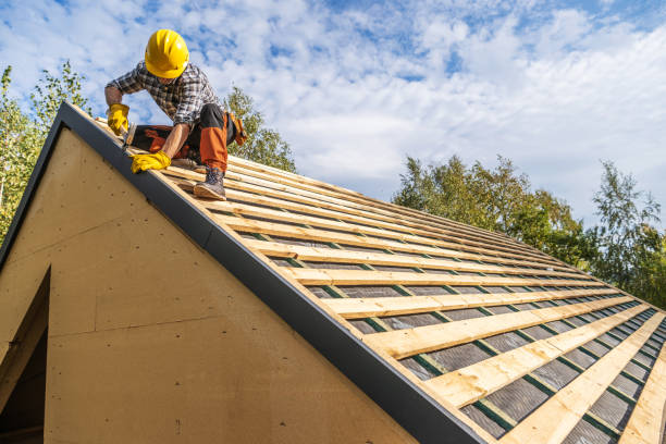 Best Shingle Roofing Installation  in Du Quoin, IL