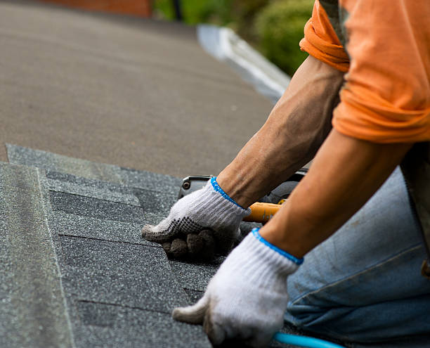 Best Roof Leak Repair  in Du Quoin, IL